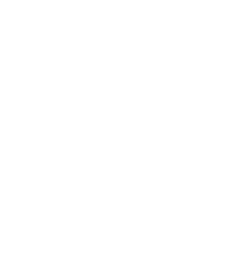 logo site
